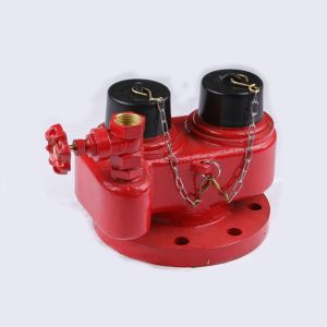 Wet Riser Landing Valve
